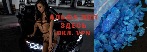 индика Белокуриха
