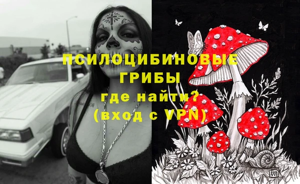 индика Белокуриха