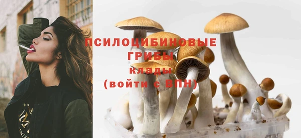 индика Белокуриха