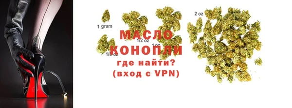 индика Белокуриха