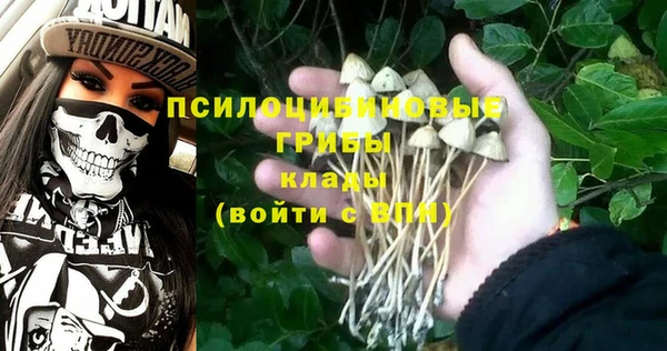 индика Белокуриха