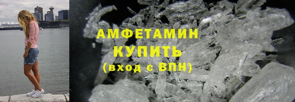 индика Белокуриха