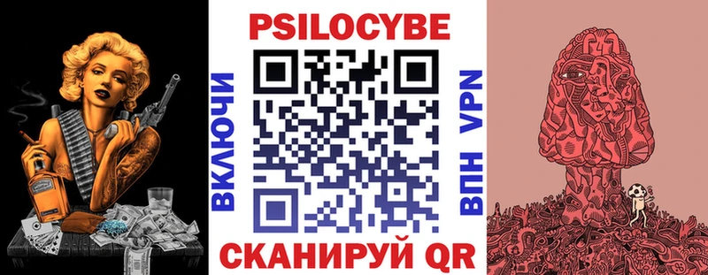 Купить Оса Галлюциногенные грибы Psilocybe